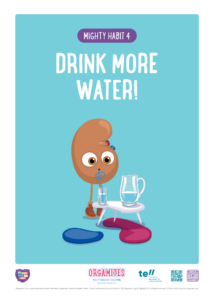 Stay hydrated to keep up kidney health
